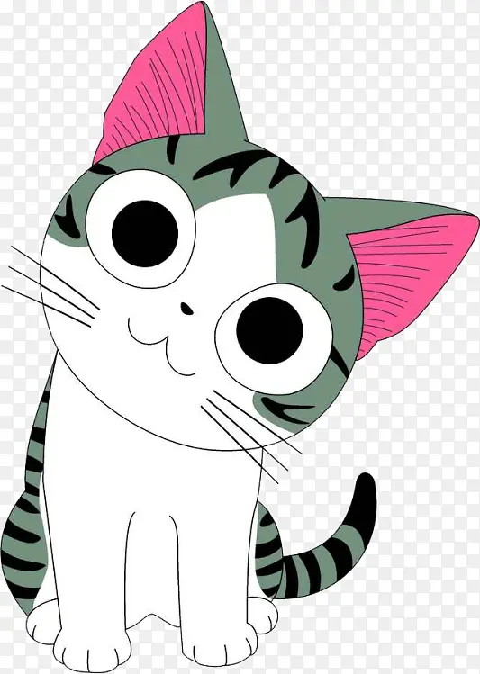 小猫，可爱猫