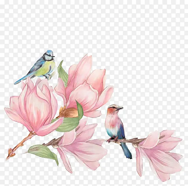 工笔画花鸟2