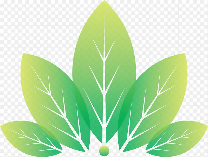 秋天的绿色树叶