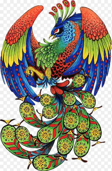 愤怒的五彩孔雀