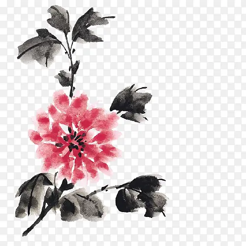中国风菊花手绘元素