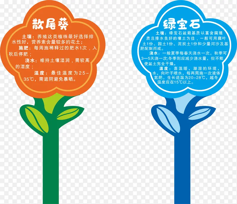 花牌  花丛牌  散尾葵  绿宝石