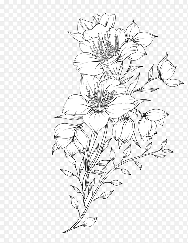 线描花朵组合