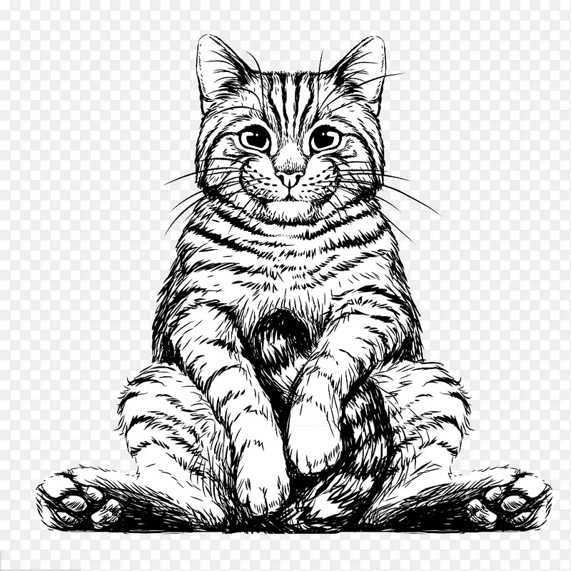 黑白坐着的猫