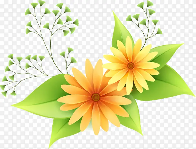 黄色野花野草