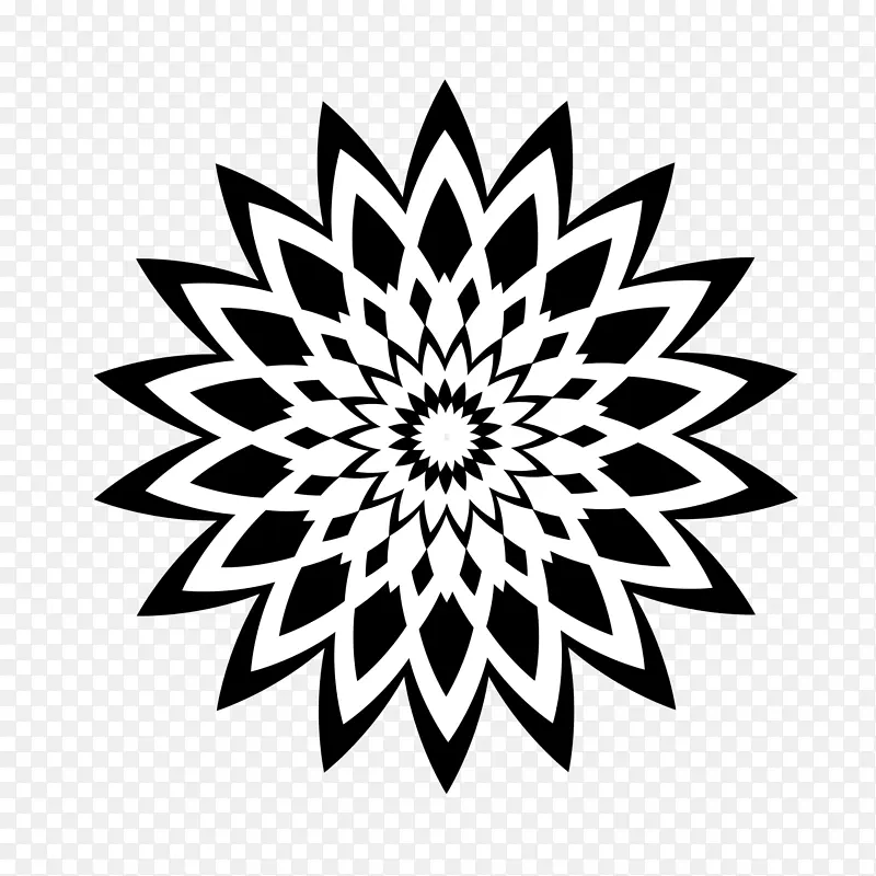 黑白视觉图案