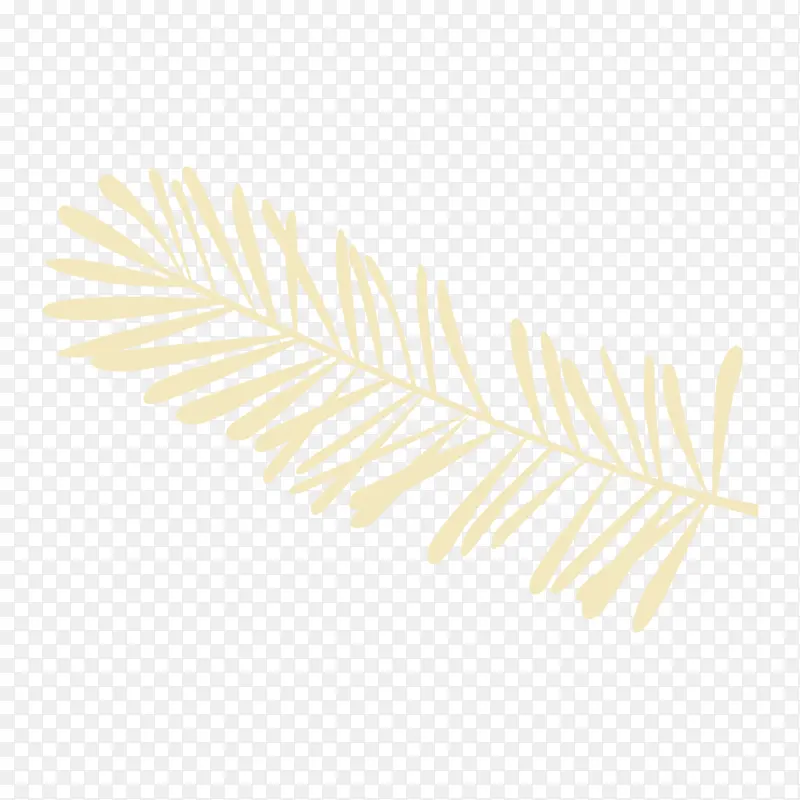 金色温暖羽毛透明背景