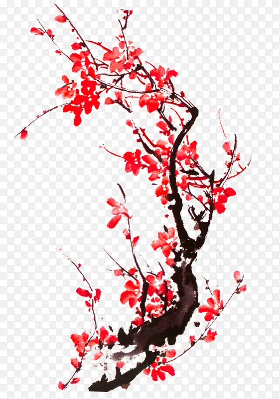 一支红梅素材