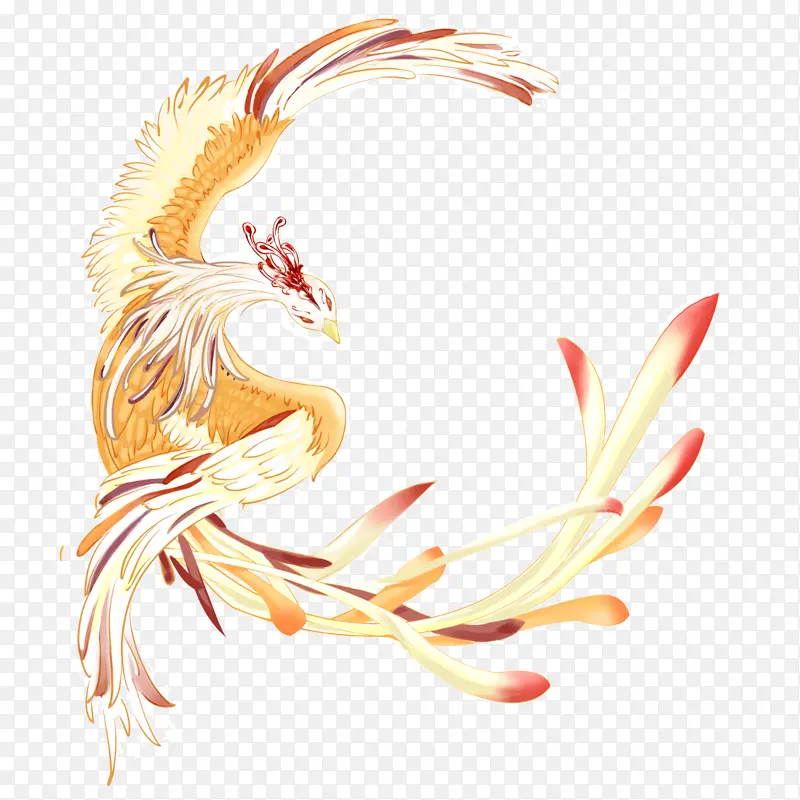 手绘凤凰插画