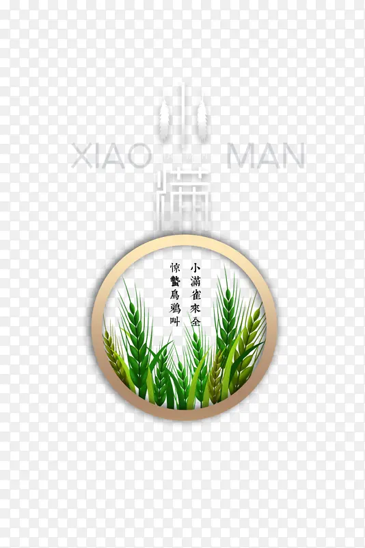 小满艺术字麦穗元素