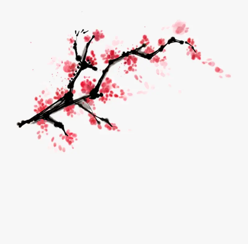 精美中国风水彩写意梅花插画