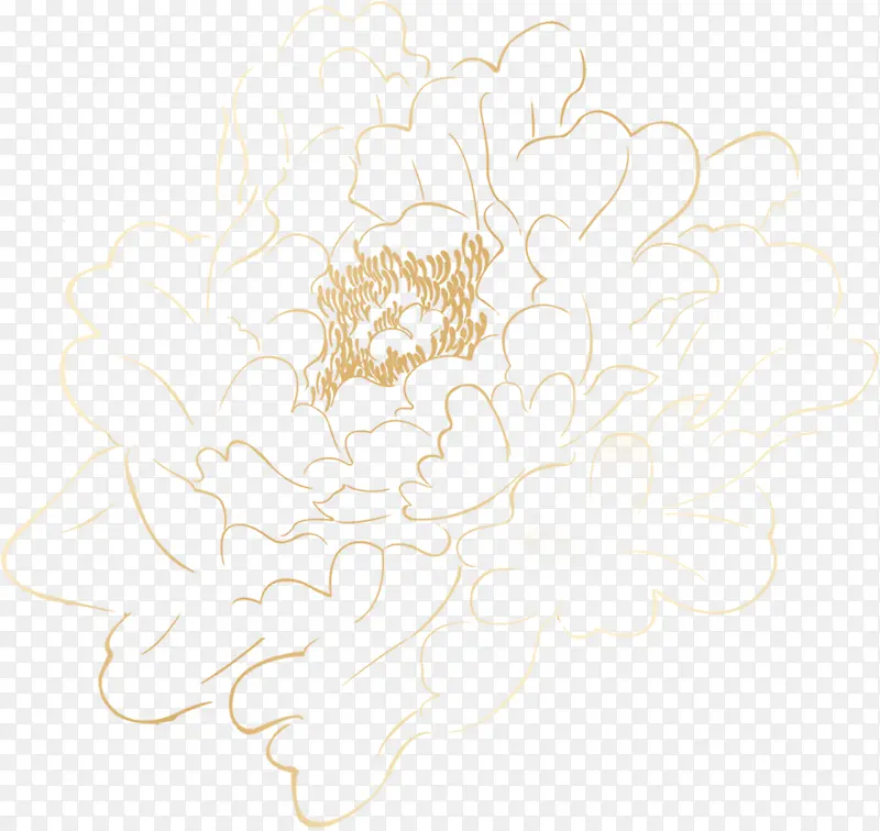 牡丹花描边