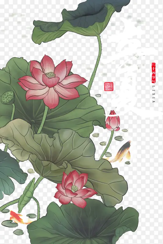 立夏荷花鲤鱼二十四节气