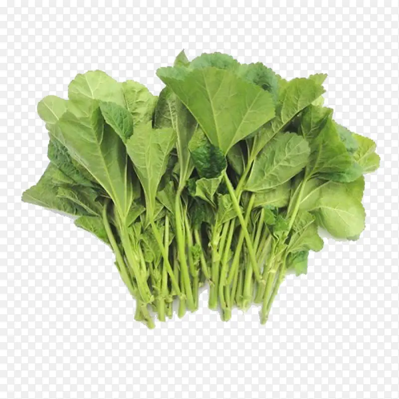 好吃的冬苋菜
