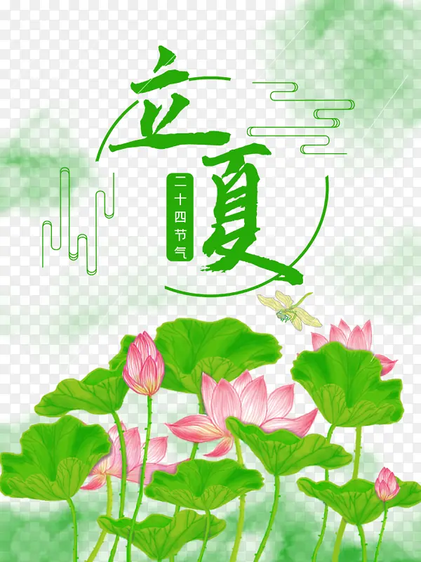 立夏荷花荷叶蜻蜓二十四节气