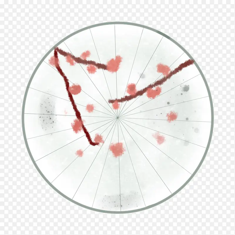 手绘春雨梅花雨伞