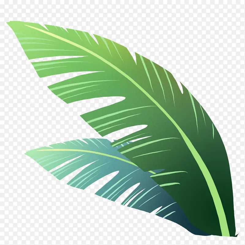 原创元素扁平风渐变植物元素叶子