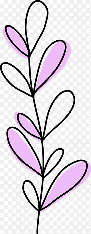 紫草手绘植物插画花