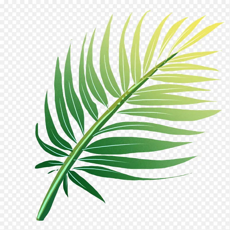 原创元 素扁平 风渐变 植物元素叶子