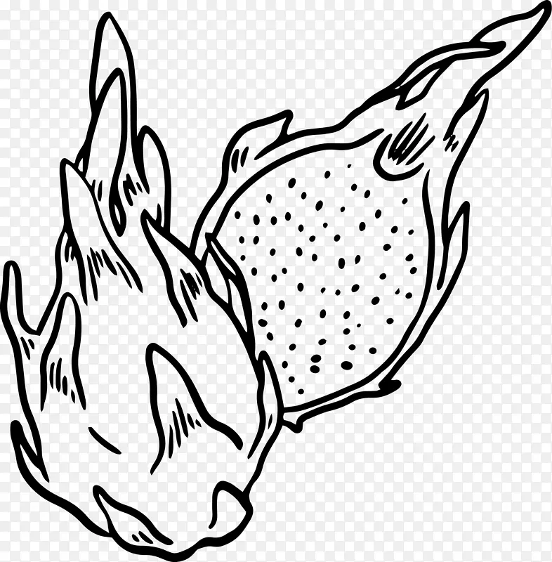 食品 元素 图画 手绘
