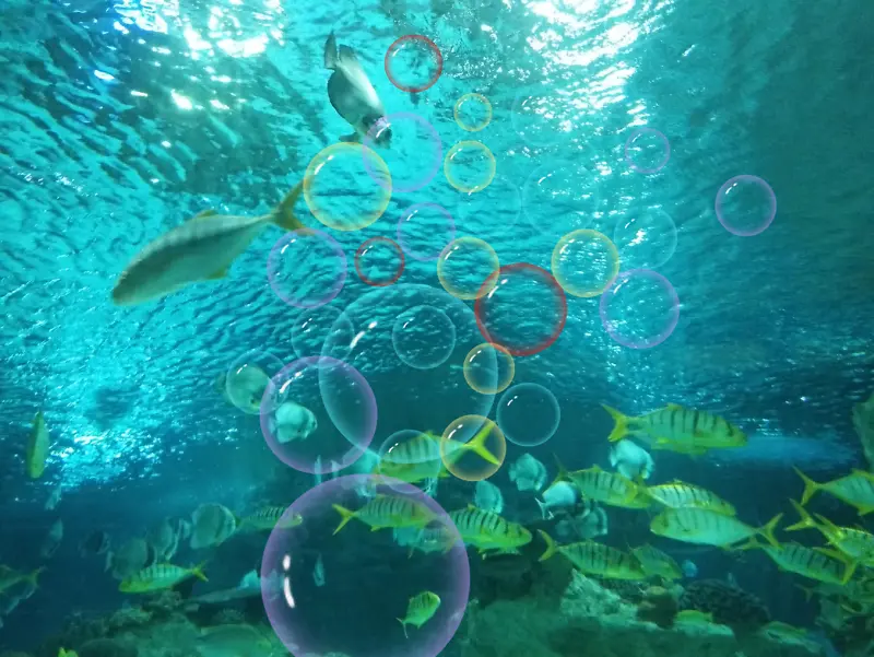 海底世界梦幻图
