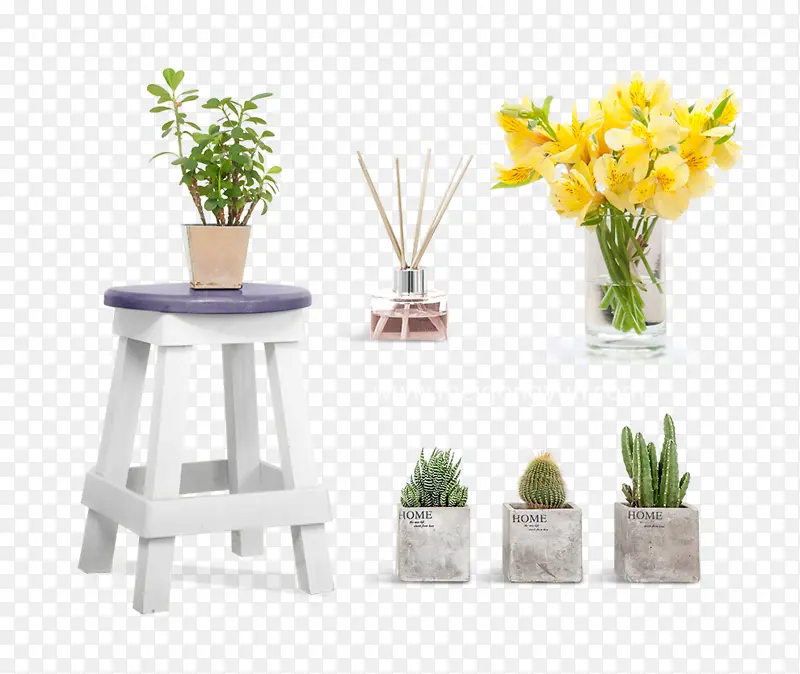 插花_花瓶_仙人掌