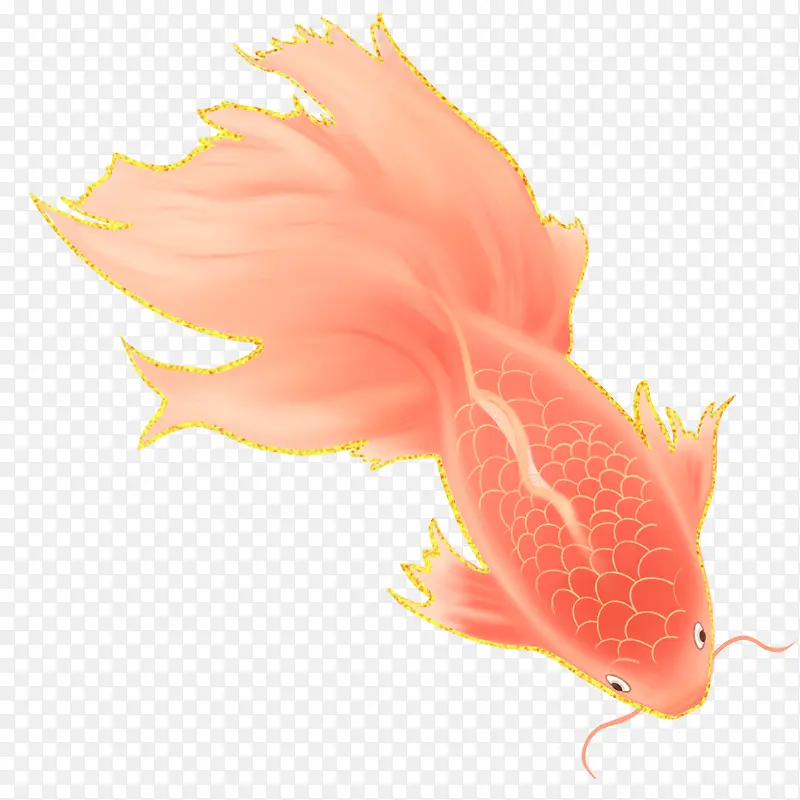 国风插画孔雀鱼