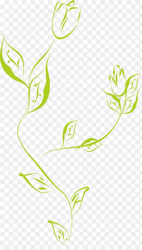 绿色花草手绘线条