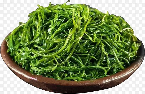 新鲜长长长寿菜
