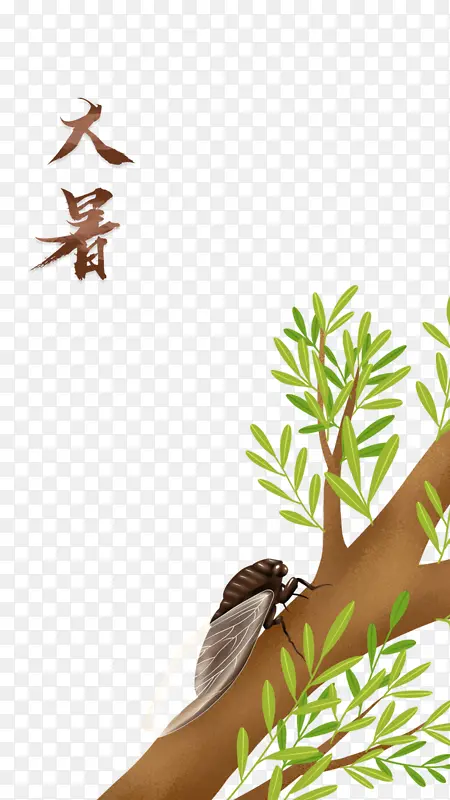 大暑夏天树枝知鸟