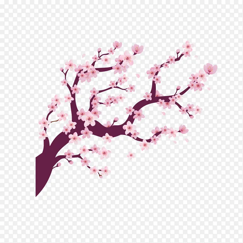 中国风梅花开了