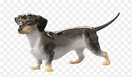 狗狗高清黑白