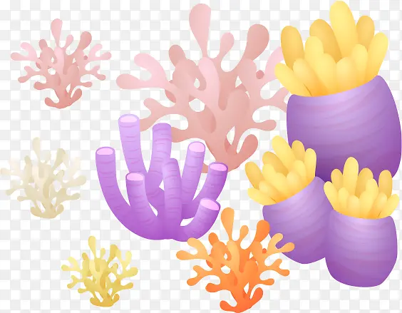 海洋植物海草珊瑚