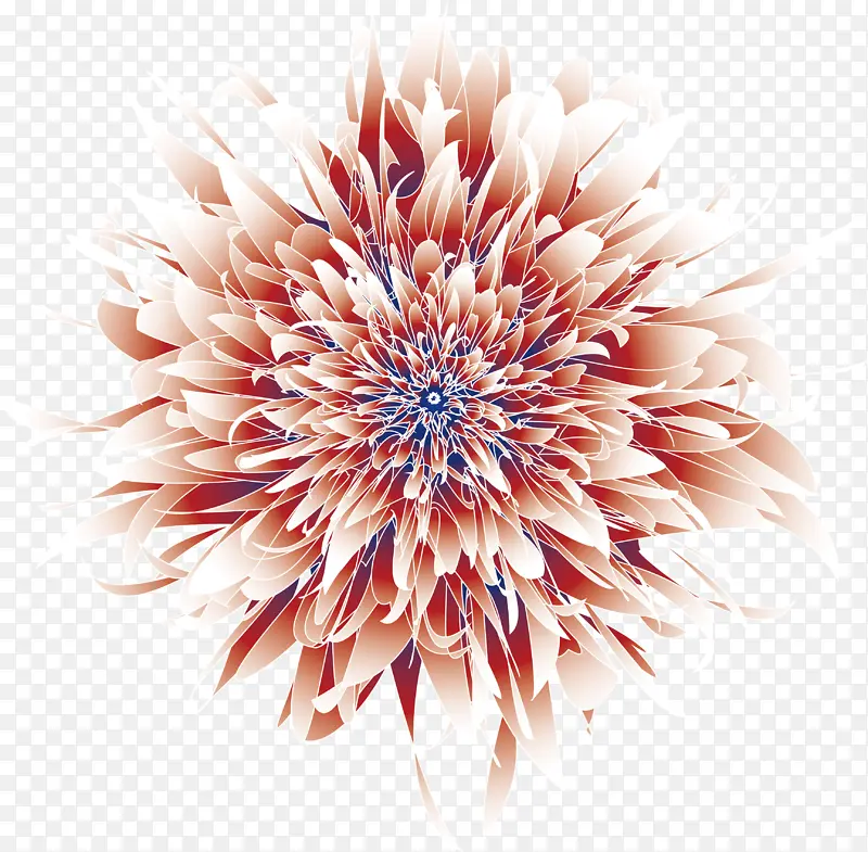 花 牡丹 花儿 花草