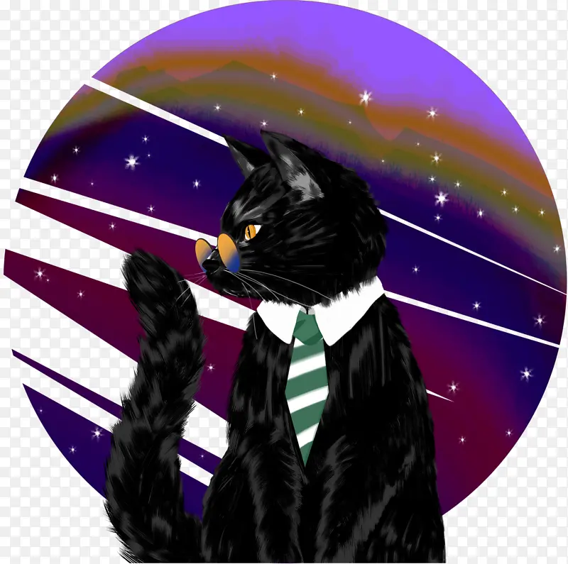掌握宇宙的黑猫