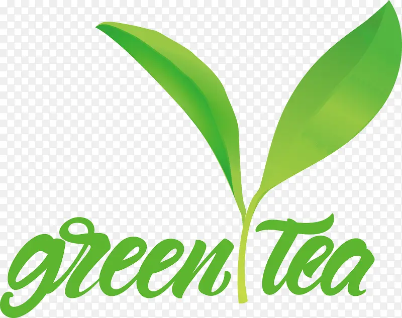 叶-叶植物茎标志字体草药