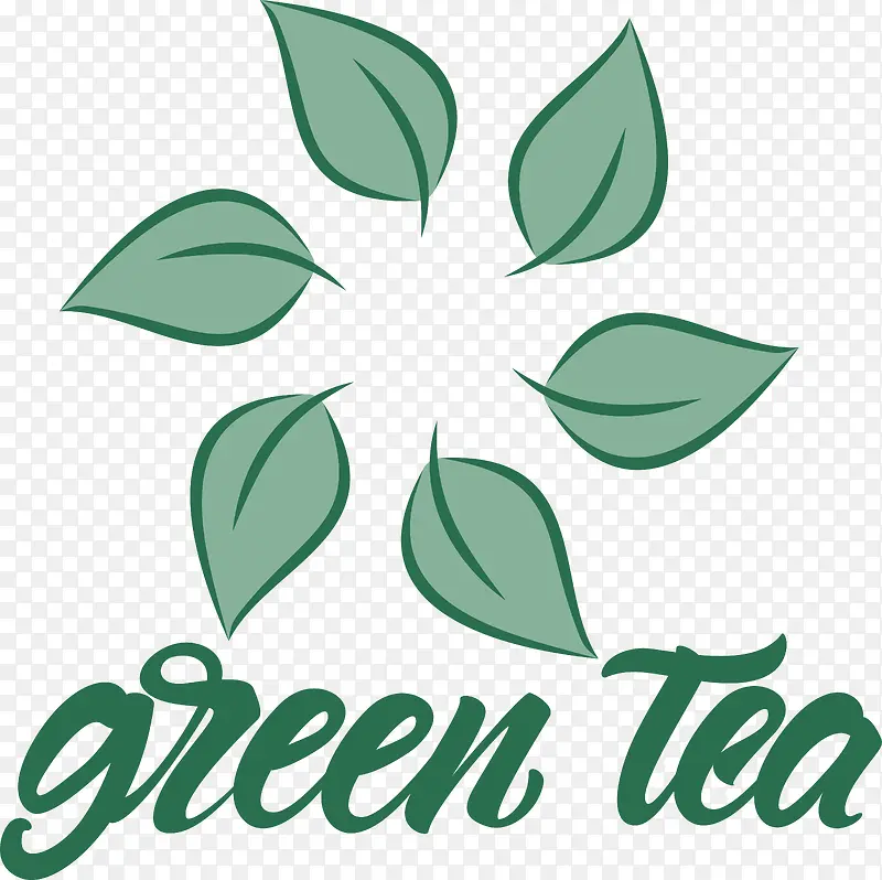 叶-叶植物茎标志线树