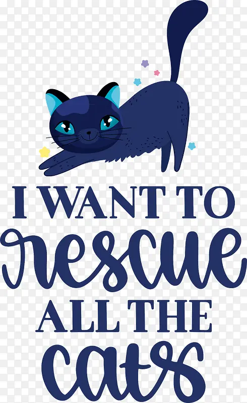 猫-猫猫一样的鼻子胡须