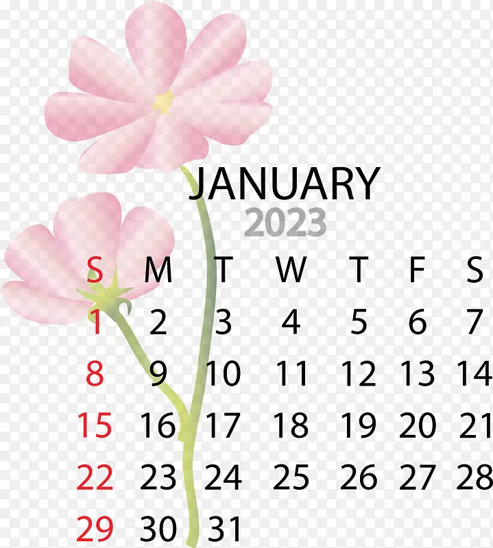 切花-2023年1月日历