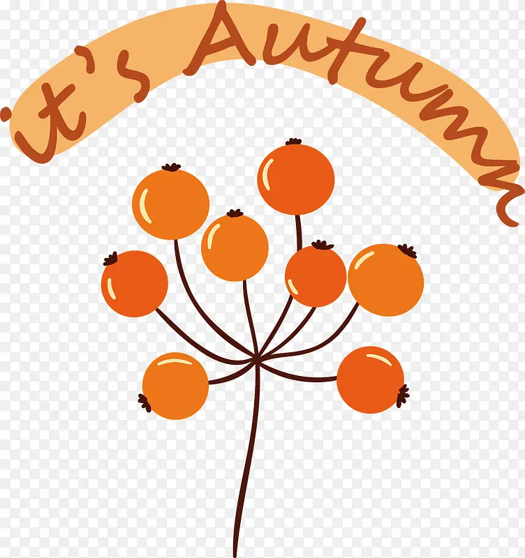 叶-叶系水果科学生物学