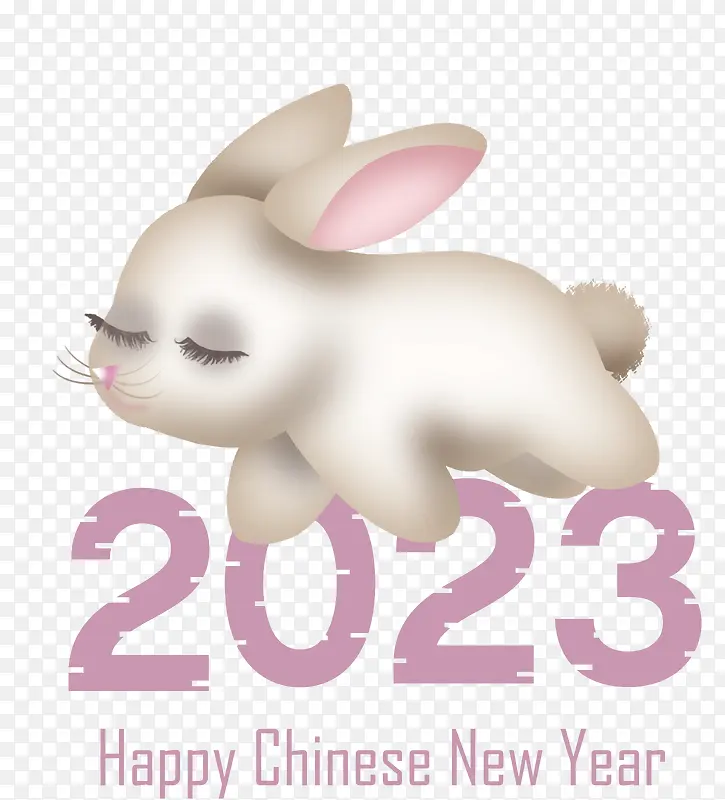中国新年-中国新年
