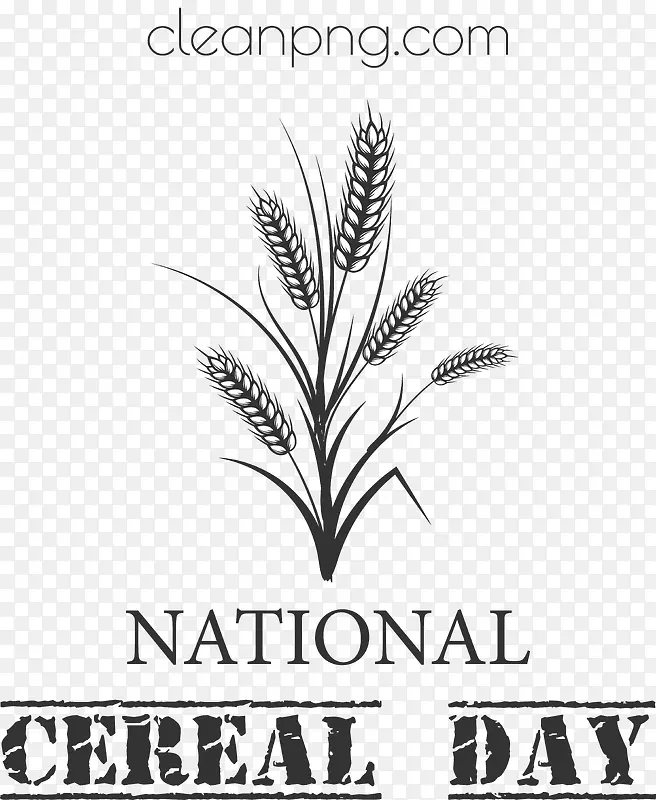 全国谷物日-全国谷物日谷物日谷物食品