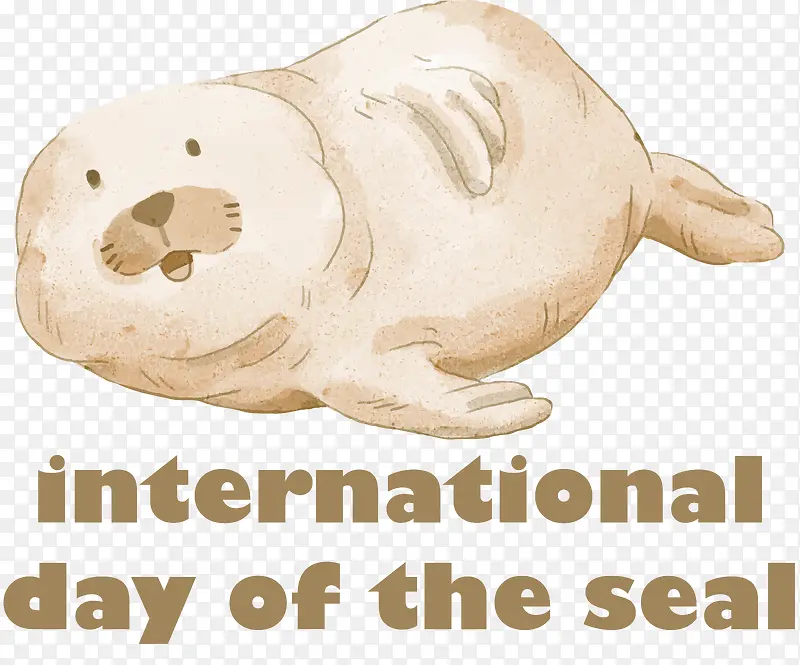 国际海豹日-国际海豹日海豹动物