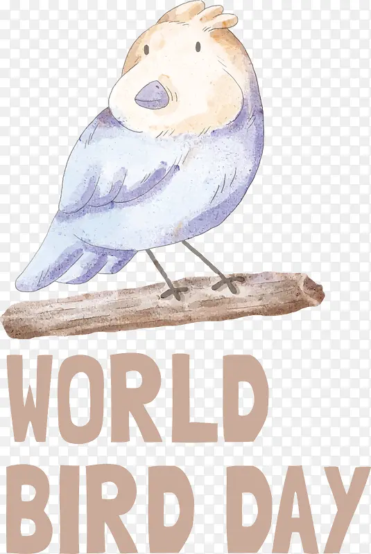 鸟类日-鸟类日国际鸟类日鸟类