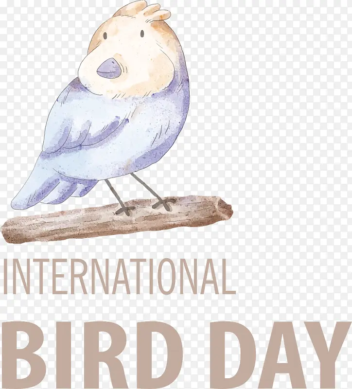 国际鸟类日-国际鸟类日鸟类日鸟类