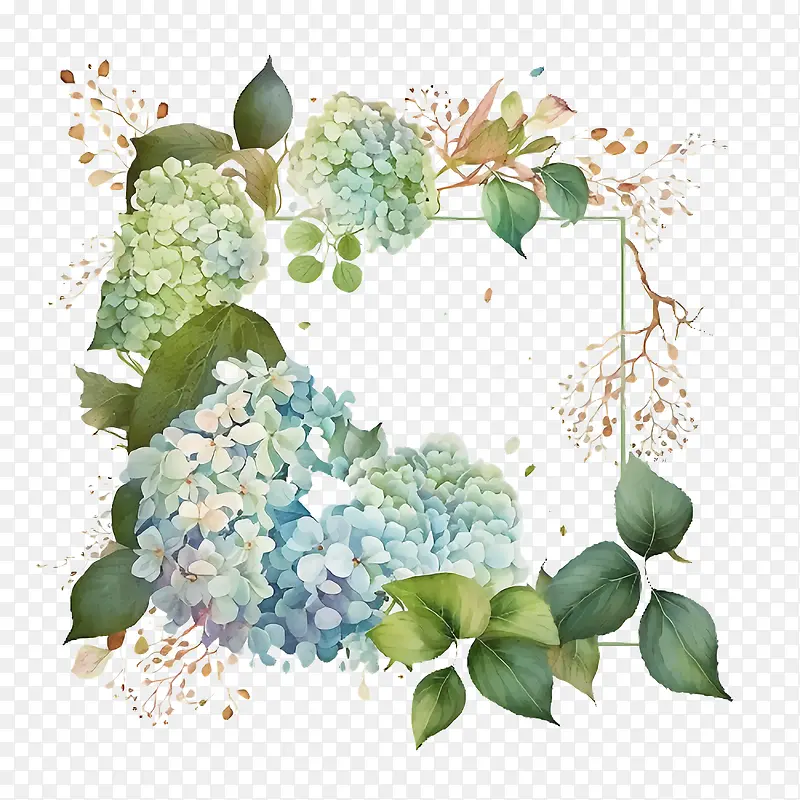 水彩绣球花-水彩绣球花蓝色绣球花绣球花环