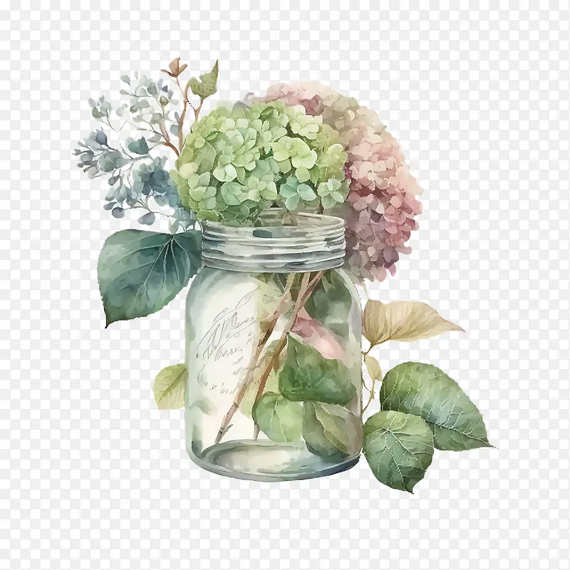 水彩绣球花-水彩绣球花绿桉树叶
