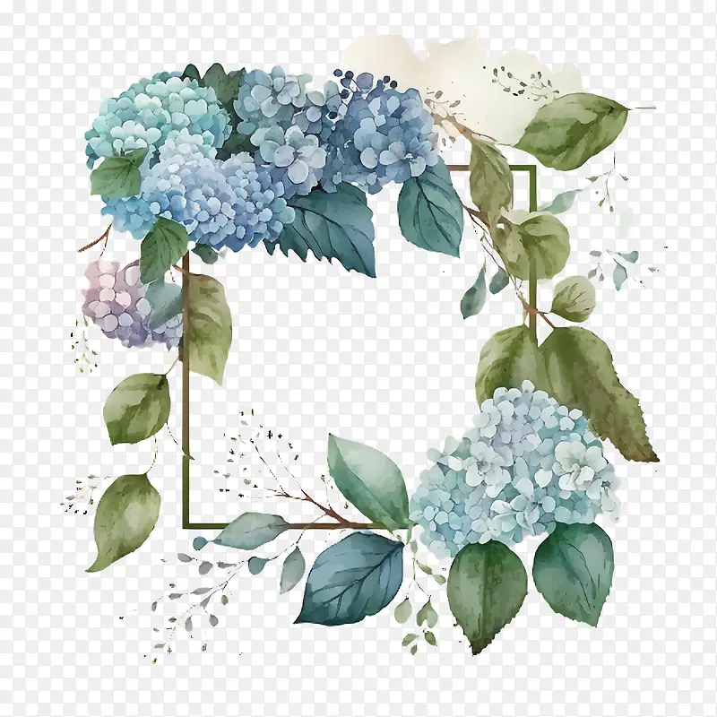 水彩绣球花-水彩绣球花蓝色绣球花绣球花环