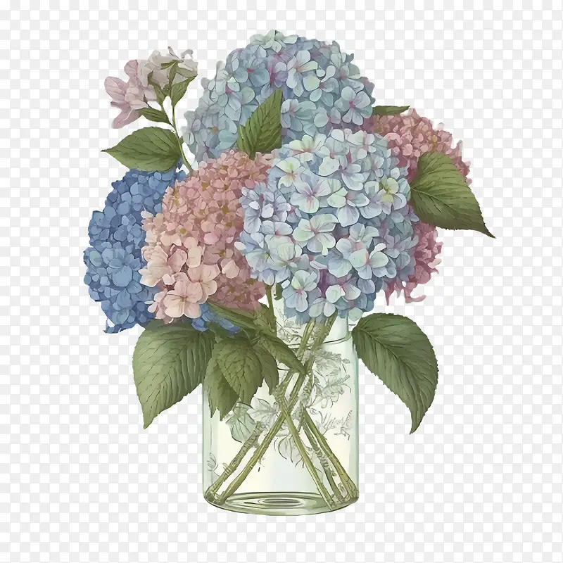 绣球花-绣球花瓶