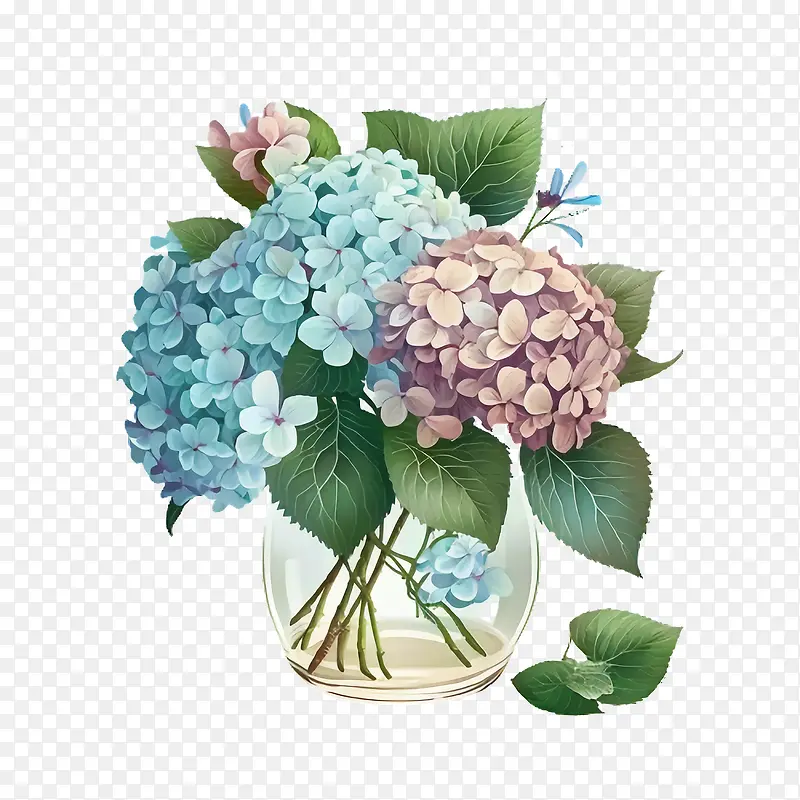绣球花-绣球花瓶